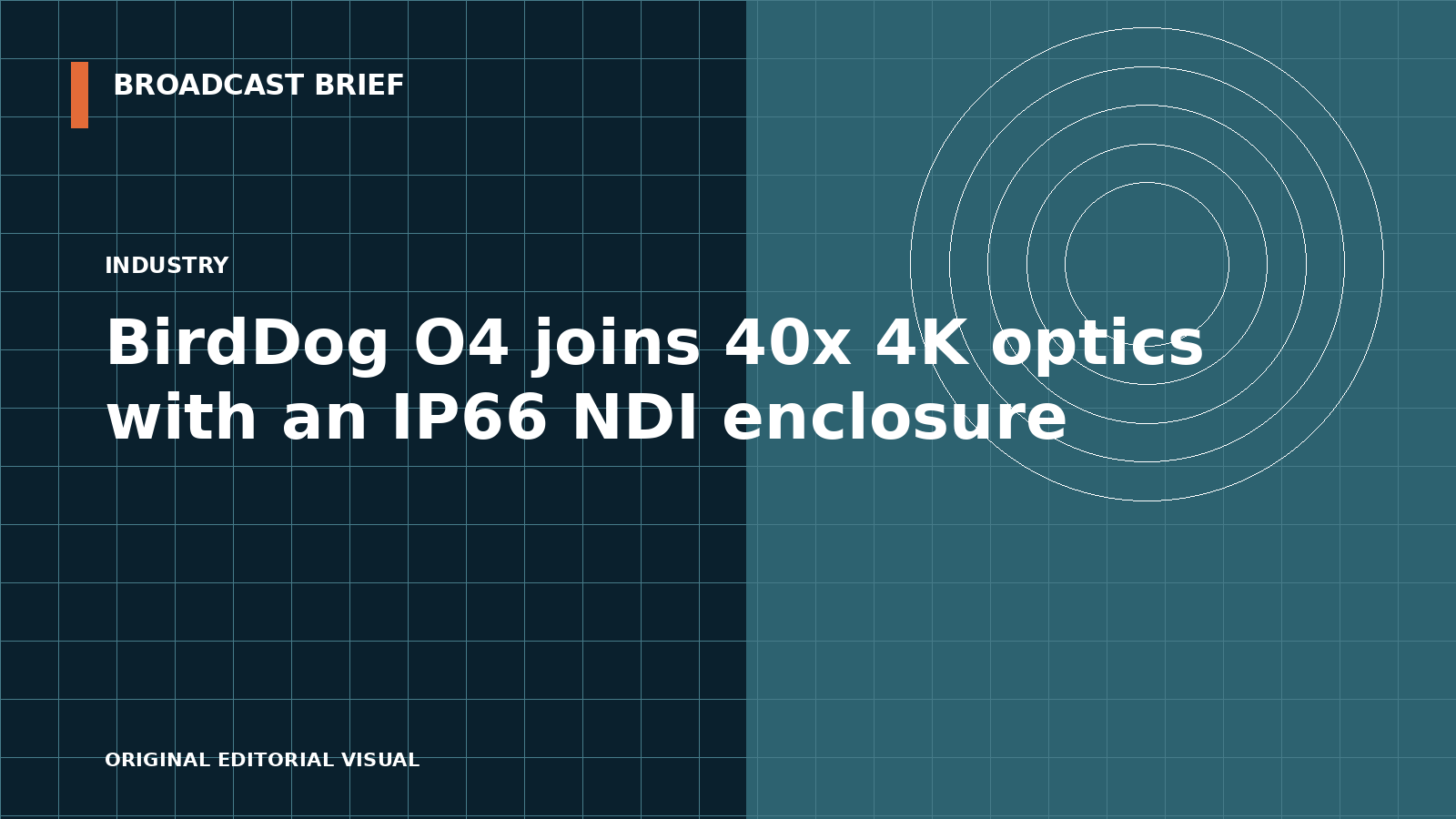 Editorial illustration for BirdDog O4 joins 40x 4K optics with an IP66 NDI enclosure