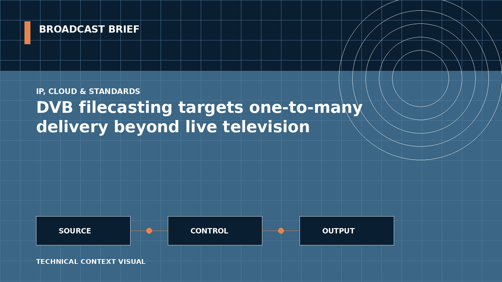 Technical signal-flow illustration for DVB filecasting targets one-to-many delivery beyond live television