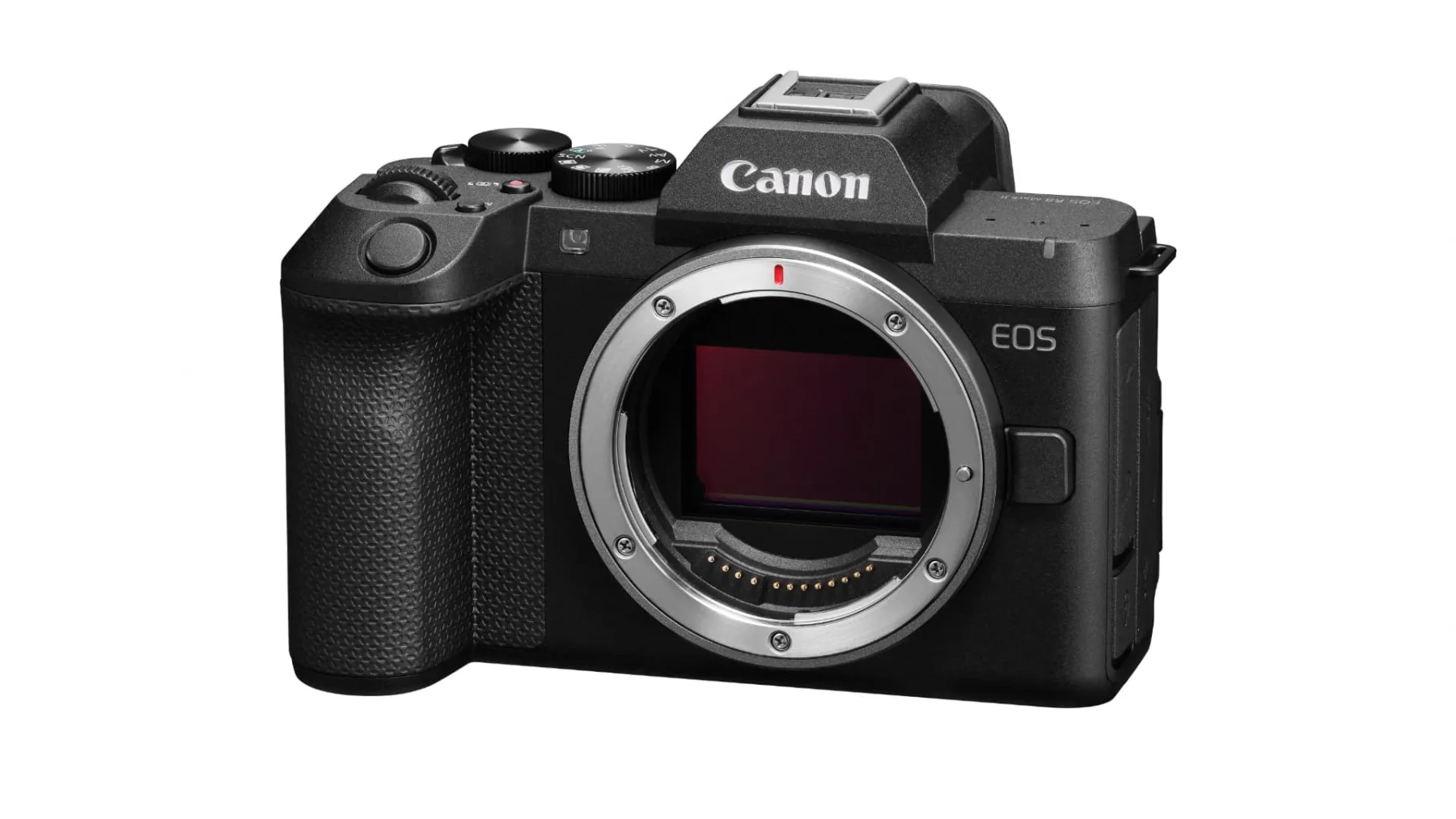 Source image for EOS R8 Mark II adds stabilised 6K-oversampled 4K60 to Canon’s light body