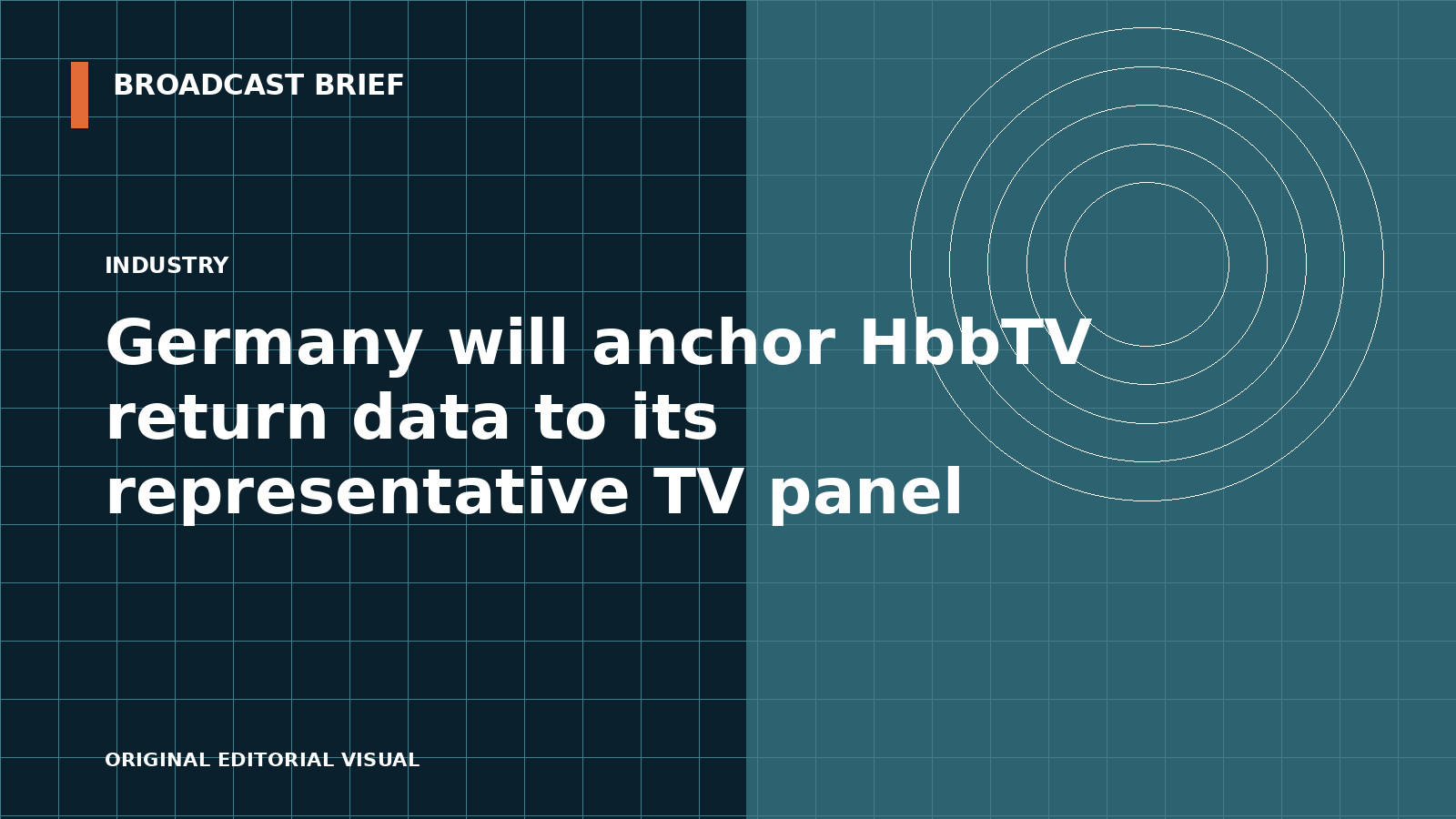 Editorial illustration for Germany will anchor HbbTV return data to its representative TV panel