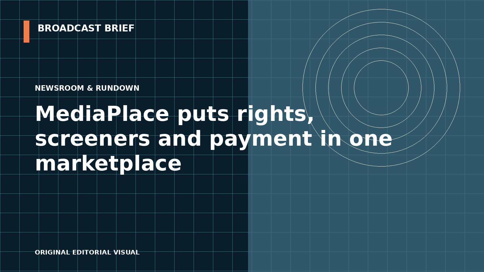 Editorial illustration for MediaPlace puts rights, screeners and payment in one marketplace