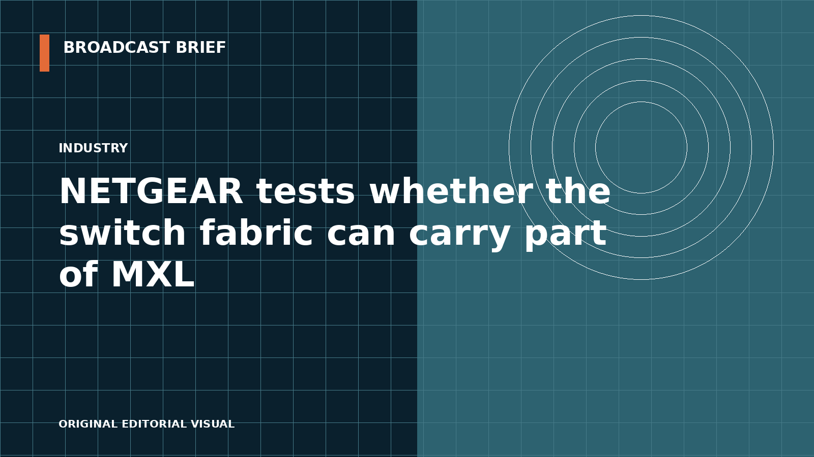 Editorial illustration for NETGEAR tests whether the switch fabric can carry part of MXL